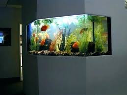 Ada tips dan panduan step by step mengenai cara merawat ikan hias pada aquarium air tawar dan aquarium air laut. 46 Desain Aquarium Cantik Dan Unik Anti Mainstream Rumahku Unik
