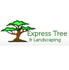 Maybe you would like to learn more about one of these? Express Tree Landscaping Fort Smith Ar Us 72916 Houzz