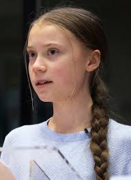 Prior to her speaking engagements thunberg demonstrated outside swedish riksdag using the signage skolstrejk för. Greta Thunberg Wikipedia