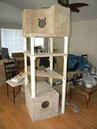 Trim down a carpet square from the dollar store and your kitty will walk on it on her way out, brushing off any dust inside the cabinet and not on the floor. Pin By Elizabeth Altieri On Pet Corner Pet Corner Cat Litter Box Cool Pets