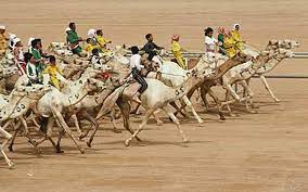 Support us by sharing synonyms for camel jockey page! Dossier On Child Camel Jockeys Closed News Emirates Emirates24 7