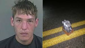 Anderson Co. serial bomber hid device in teddy bear, FBI says