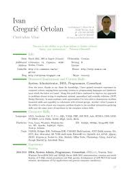 Format underneath your name and. Sample Cv Examples Pdf