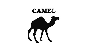 Learn to build a camel + springboot with different technologies such as kafka, activemq, rest, database, email and soap. Apache Camel For Beginners Learn By Coding In Java Courseshunter