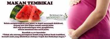 Masukkan ke dalam pengisar, tembikai, ais, susu pekat manis, dan susu. Hamil Bersalin Menyusu Khasiat Tembikai Dan Buah Kelapa Buat Ibu Hamil