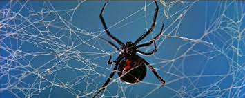 Internet archive html5 uploader 1.6.3. Dreams Are What Le Cinema Is For Black Widow 1954