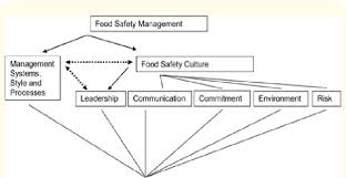 Food preparation, food safety & sanitation note: Factors Influencing Food Safety Performance Download Scientific Diagram