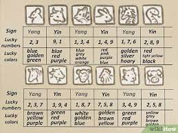 How To Read Your Chinese Horoscope: 13 Steps (With Pictures)