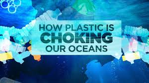 With each member of the. Banning Plastic Straws A Look At How Much It Really Helps And Who It Could Hurt National Globalnews Ca