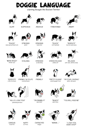 Dogbodylanguageposter Bahasa Tubuh Anjing Piaraan
