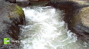 Suara Alam Pagi Hari Di Pegunungan Dari Sungai Kecil Suara Alam Pagi Hari Yang Menyejukkan Hati Sungai Alam Suara
