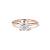 3 Carat Cushion Cut Halo Engagement Rings