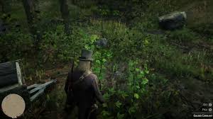 Black Bone Forest Treasure Rdr Plants Herbs Location Guide Red Dead Redemption 2 Guides Rdr2 Org Planting Herbs Herbs Types Of Herbs
