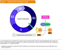 Quels sont les symptômes qui alertent ? L Immunotherapie Et Les Therapies Ciblees Sont Devenues Des Traitements Standard En Oncologie Louvain Medical
