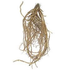 Scatter bulbs and plant them where they land to give a natural look. Growing From Bulbs And Roots Veseys