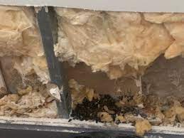 La plomberie quand à elle a été réaliser par le constructeur, et j'ai moi même poser robinetterie et bac à douche. Elimination Odeur De Rats Morts Ou Autres Rongeurs Ou Carnassiers Bst Aero