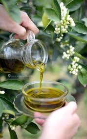 Olives Olive Oil Oils Extra Virgin Olive Oil