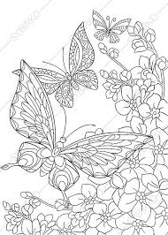 Printable butterflies coloring page to print and color for free. Coloring Pages For Adults Digital Coloring Page Butterfly Etsy Butterfly Coloring Page Animal Coloring Pages Flower Coloring Pages