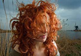 The gene for red hair also causes an increased sensitivity to sunlight and a reduced sensitivity to anesthesia. Natural Red Hair Photographs By Hanne Van Der Woude Lensculture