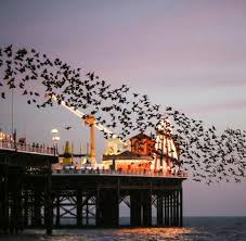 Englische Küste Brighton Ist Wie London Aber Am Meer Welt