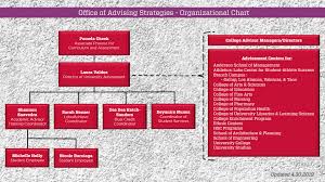 Organizational Chart Office Of Advising Strategies The