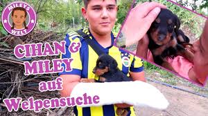 Vergleiche bewertungen und finde angebote für hotels in mit hamam mah. Spass Im Freibad Aquapark In Emet Turkei Mit Coolen Wasserrutschen Mileys Welt Youtube