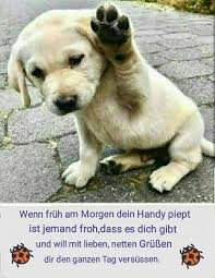 Liebe Grusse Guten Morgen Lustig Lustige Guten Morgen Spruche Guten Morgen Witzig