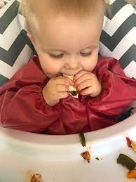 16 simple and tasty chicken recipes for babies from 6 to 12 months. The Best First Foods For Baby Led Weaning Weaning Fussy Eating The Children S Nutritionist