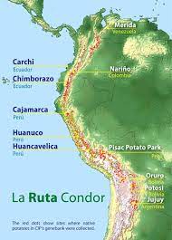¿deseas viajar a colombia desde argentina? Ruta Condor International Potato Center