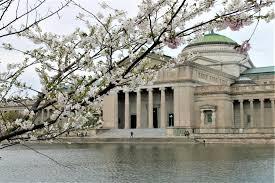 Busy bees at mealtime at grow! Where To See Spring Flowers In Chicago Choose Chicago