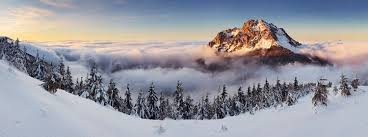 11,672 likes · 1 talking about this. IarnÄƒ Postere È™i Tablouri CumpÄƒrÄƒ Online Pe Europosters Ro