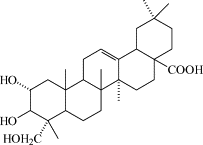 Image result for Combretum coriifolium
