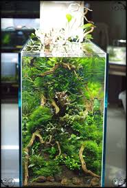Discount Prices On All Aquarium Accessories In 2020 Aquarium Landscape Aquarium Fish Tank Aquascape Design
