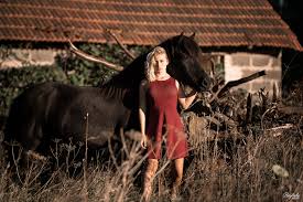 Pferdefotografie Und Coaching By Ponyliebe Workshops Und 1 1 Angebote Fur Tierfotografen Equine Pferde Fotografie Pferde Madchen Fotografie Pferdefotografie