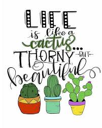 36 happy birthday boss meme that make you laugh. Be A Cactus In A World Full Of Flowers Mondaymotivation Cactus Quotes Inspirational Quotes Calligraphy Printable Quotes