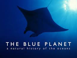 Prime Video: The Blue Planet - Season 1