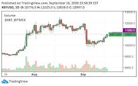 3 Reasons Bitcoin Price Just Hit 11 000 Despite Altcoin Stagnance