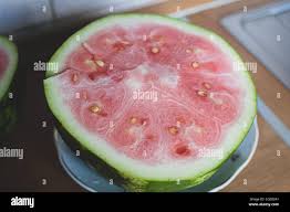 Cocomero acerbo immagini e fotografie stock ad alta risoluzione - Alamy