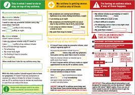 The plan also helps you deal with sudden increases in your or your child's asthma symptoms ( asthma attacks). Asthma Action Plan An Example Of A Asthma Self Management Tool Download Scientific Diagram