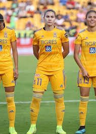 Tigres uanl derrotó cuatro goles por cero a monarcas morelia en el partido correspondiente a la jornada 7 de la liga mx femenil. Nayeli Rangel Tigres Femenil Arquero De Futbol Futbol