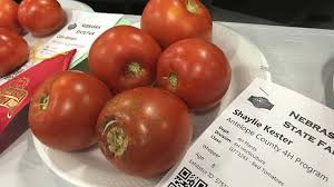 NEWS FROM ANTELOPE COUNTY NEBRASKA