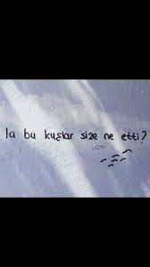 La Bu Kuslar Size Ne Etti Uctu Kus
