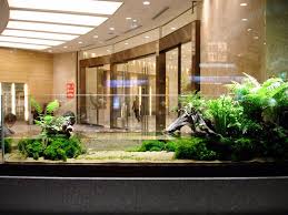 Japanese Paludarium
