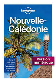 Budget et finances → débat sur les orientations budgétaires 2021conformément à l'article l. Nouvelle Caledonie 5ed Guide De Voyage French Edition Ebook Carillet Jean Bernard Amazon De Kindle Shop