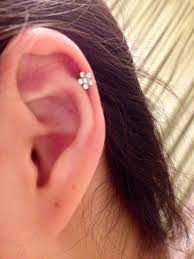 How To Pierce Your Own Cartilage Cute Ear Piercings Ear Cuff Piercing Cute Cartilage Piercing