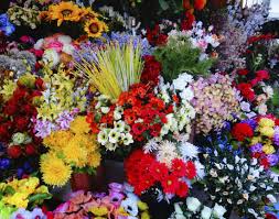 Phool Mandi At Ghazipur Delhi Get The Detail Of Phool Mandi At Ghazipur On Times Of India Travel Kamal ka phool ka design back neck/ beautiful neck designer. phool mandi at ghazipur delhi get