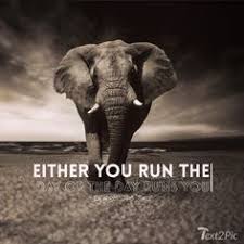 Either You Run The Day Or The Day Runs You In Hindi Time Is Our Most Precious Asset Sucess Successmindset Successmore Entrepreneurship Entrepreneur Hustle Quotes Entrepreneur Quotes Success Quotes