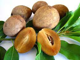 Maybe you would like to learn more about one of these? Sapodilla Aka Shamus O Leary S Tropical Fruit Trees Facebook