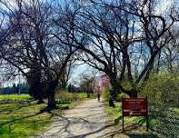 5th Annual PBK Brunch + Nature Trail Walk