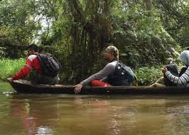 Sehingga terbentuklah wisata kampoeng rawa. Cagar Alam Rawa Danau Kawasan Ekosistem Rawa Air Tawar Satu Satunya Di Pulau Jawa Journal